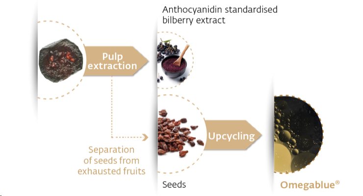 Figure of upcycling process from bilberry seeds to Omegablue active ingredient